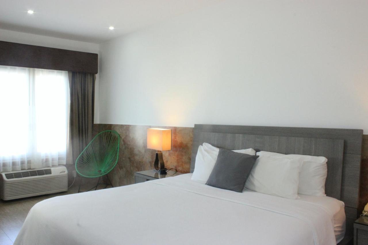 Beverly Hills: Hotel And Business Nuevo Cuscatlan Exterior foto